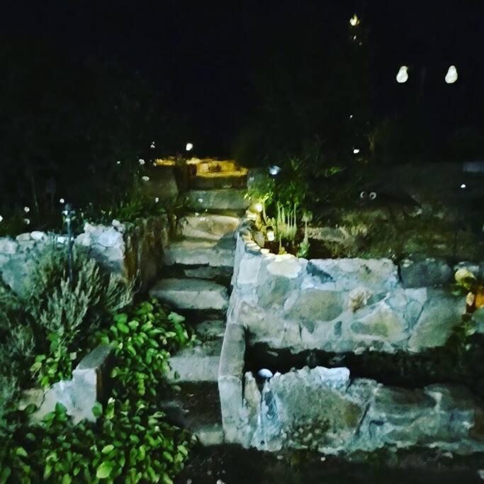 O'Brien'S Oasis Villa Miramonte Eksteriør bilde